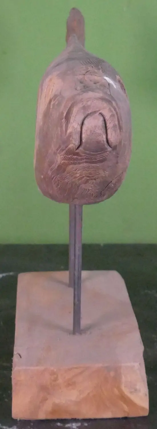  Product image 5 of the product “carved koi wood on stand S made from teak root pieces, 53cm length ”